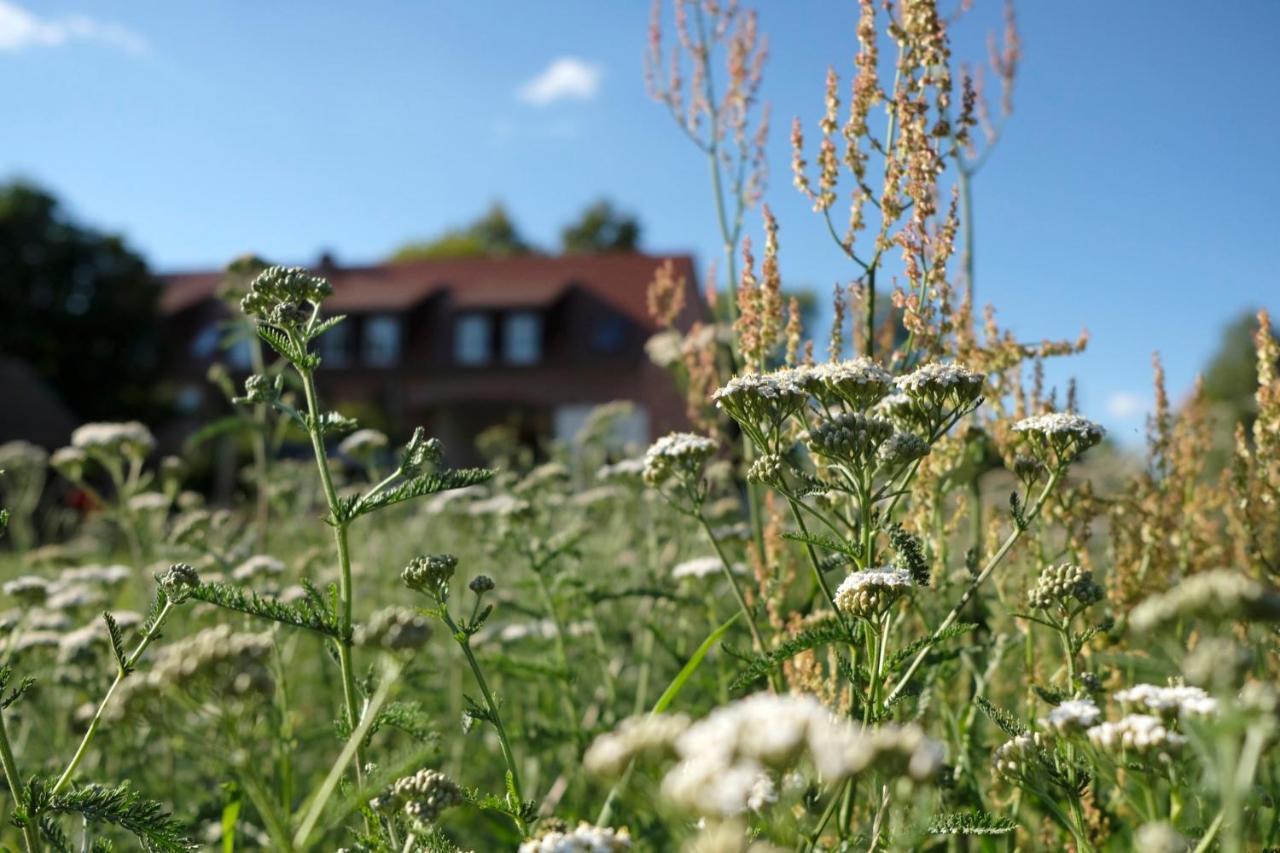 Ferienwohnung Mohnblume Pulzig Exterior foto