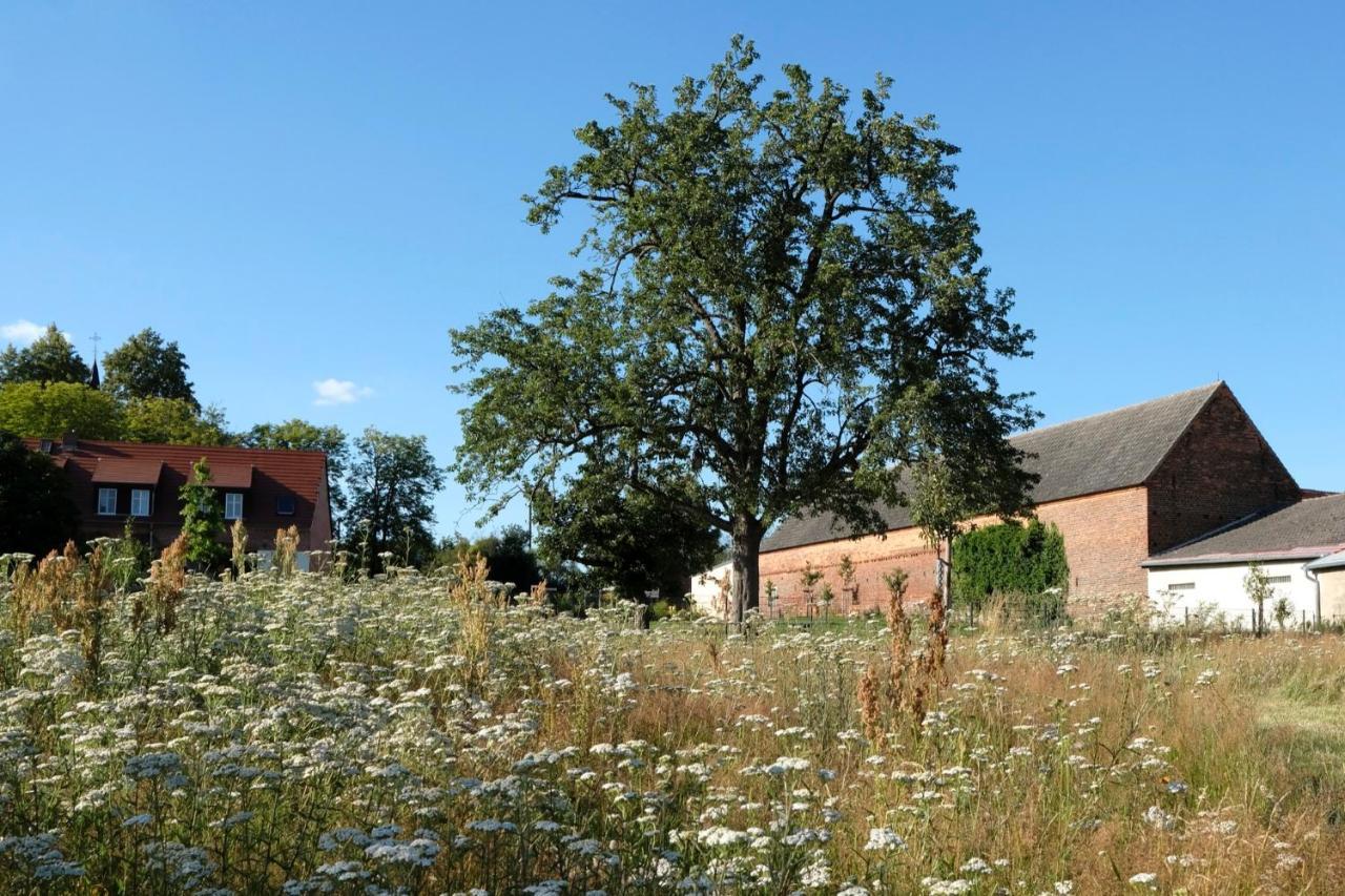 Ferienwohnung Mohnblume Pulzig Exterior foto