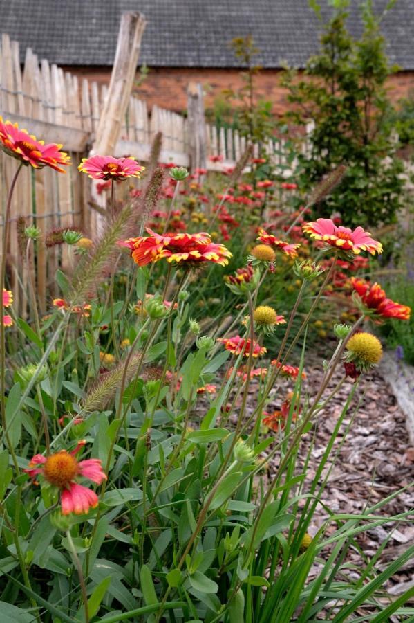 Ferienwohnung Mohnblume Pulzig Exterior foto